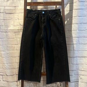 BDG Wide Leg Crop Jeans- Sz 29